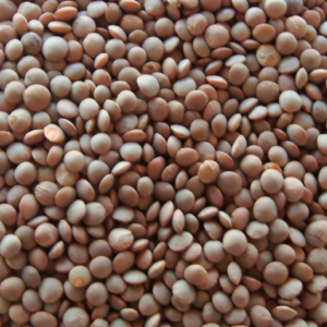 KATHOL MASOOR AKHA (1KG)