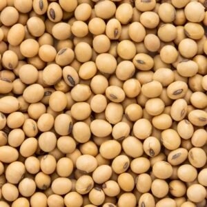 KATHOL SOYABEAN (1KG)